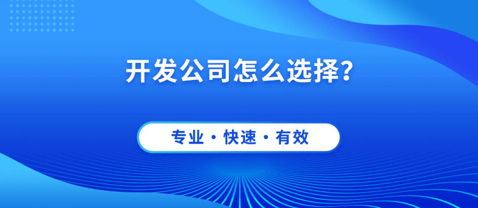 上海网站开发